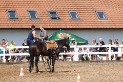 IMG_6348-1
